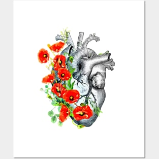 Human heart, poppies plant lovers, Heart ,anatomical Human heart Posters and Art